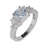 Luxury Diamond Silver Ring Bride Ring Engagement Wedding Ring Prong Setting Zircon Rings Jewelry for Your Princess, 6