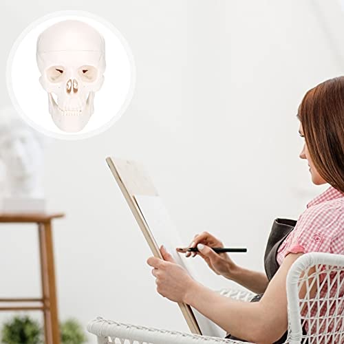 Yardwe 1 Unidade Crânio Esqueletos Do Dia Das Bruxas Enfeite De Mesa Halloween Pequenas Cabeças De E