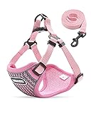 💝 CÓMODO: El arnés a prueba de fugas para perros pequeños brinda comodidad y apoyo a sus perros con menos presión alrededor de su cuello al permitir que el peso se distribuya uniformemente a través del pecho y los hombros. Hecho de material suave, liviano y transpirable, el arnés del chaleco de malla para perros se mantiene cómodo y ventilado, no causará roces ni rozaduras cuando sus cachorros se muevan.