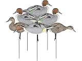 DAKOTA DECOY Pintail Fullbody 6 Pack