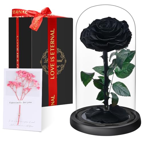 Rosa Eterna en Cúpula de Cristal, Rosa Bella y Bestia, Flores Naturale Preservada, Ideas Rosas Regalos para Día de la Madre, Día de San Valentín, Aniversario,Navidad, Mujer, Mamá, Novia, Abuela