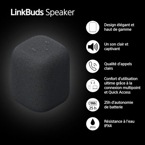 Sony Enceinte LinkBuds - Enceinte Portable sans Fil Bluetooth, IPX4, Résistante à l'eau, Batterie de 25 Heures, Qualité d'Appel Clair, Outdoor, Voyage - Noir
