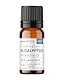 Eukalyptusöl von Wesentlich – 100% reines ätherisches Öl (10ml)