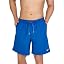 Speedo Blue