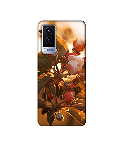 Image of Amazon Brand - Solimo Basic Case for Vivo V21E 5G (Plastic Multicolor)