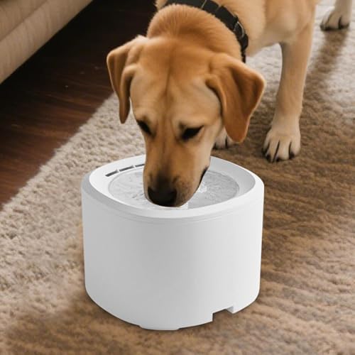 Fuente de agua para mascotas para usar en el salón apartamento o terraza exterior 3