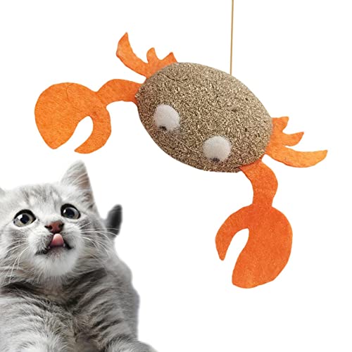 Catnip Cat Brinquedos | catnip interativos para gatos interior,Gatos Molar Catnip Ball Dentes Limpos