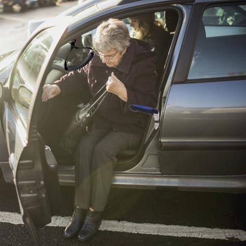 Einstiegshilfe Auto Senioren, Ausstiegshilfe Auto für Ältere Menschen, Haltegriff Autogriff Zum Aussteigen Mobilitätshilfe Grip Helfe