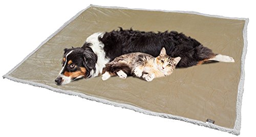 KritterWorld Pet Microplush Sherpa Snuggle Blanket, 50-Inch-by-60-Inch, Latte