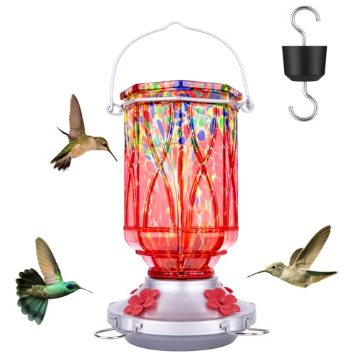 Hummingbird Feeder with Ant Moat 4 Ports