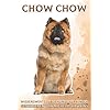 Chow Chow: Wissenswertes über Hunde für Kinder #34