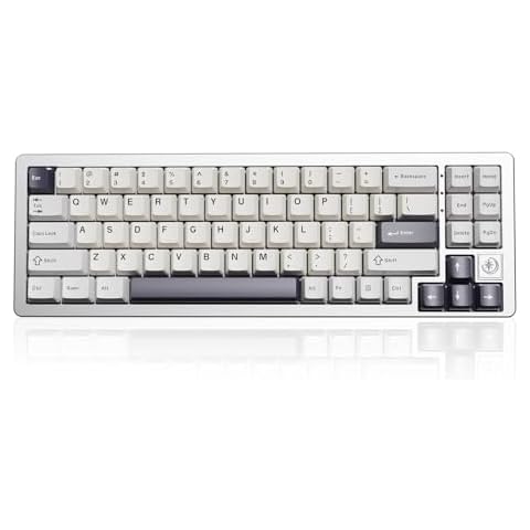YUNZII AL71 75% Mechanical Keyboard, Full Aluminum CNC, Hot Swappable Gasket, 2.4GHz Wireless BT5.0/USB-C Wired Gaming Keyboard,NKRO Programmable RGB, for Win/Mac(Silver,Crystal White Switch) Cover