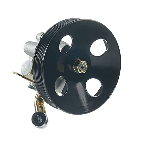 Pompa del servosterzo con puleggia 05-10 compatibile con Kia Sportage compatibile con Hyundai 2.7L 2005-2010 57100-2E100 57100 2E100 571002E100