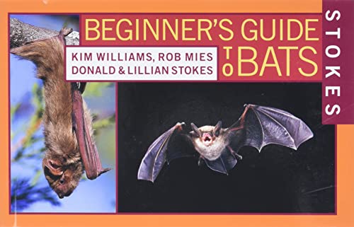 Stokes Beginner's Guide To Bats #TOP28