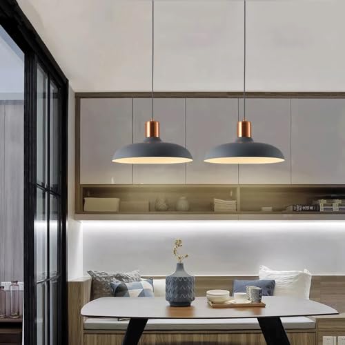 Lampe suspendue à tête unique E27 et lustre de plafond encastré en fer