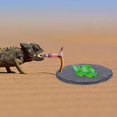 POPETPOP 2Pcs Reptile Basking Platform Tortoise Rock Plate Reptile Food Dish Grinding Nail Landscape Habitat Decor for Lizard Bearded Dragon Turtle - Image 3