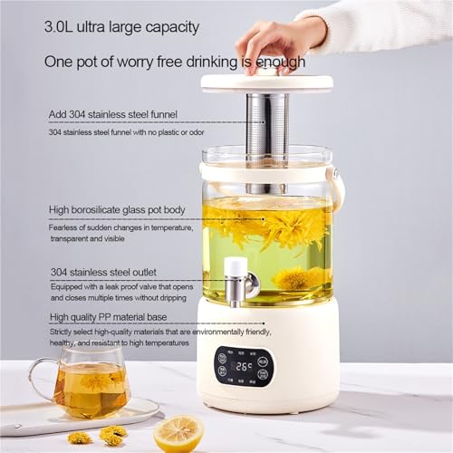 Tetera eléctrica de vidrio 3L con control táctil miniatura 3