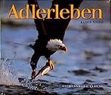  Adlerleben: Der amerikanische Weisskopfseeadler