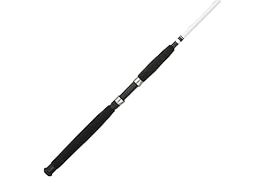 Berkley Big Game Spinning Fishing Rod- Versatile saltwater rods