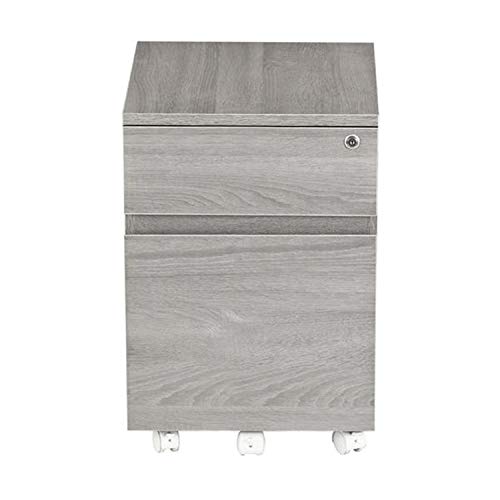 Techni Mobili Rolling Lock And Storage 2 Drawer Vertical Filing Cabinet, 15.75" L X 17.75" W X 23" H, Gray #TOP3