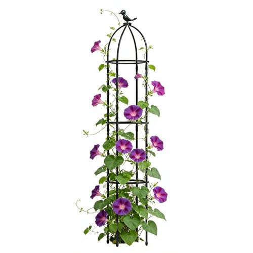 Enrejado para plantas en maceta de metal antioxidante para soporte de trepadoras en jardín 2
