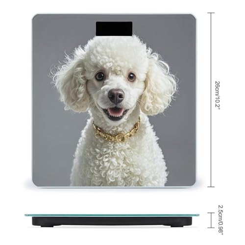 Báscula digital francesa para baño de vidrio templado miniatura 2
