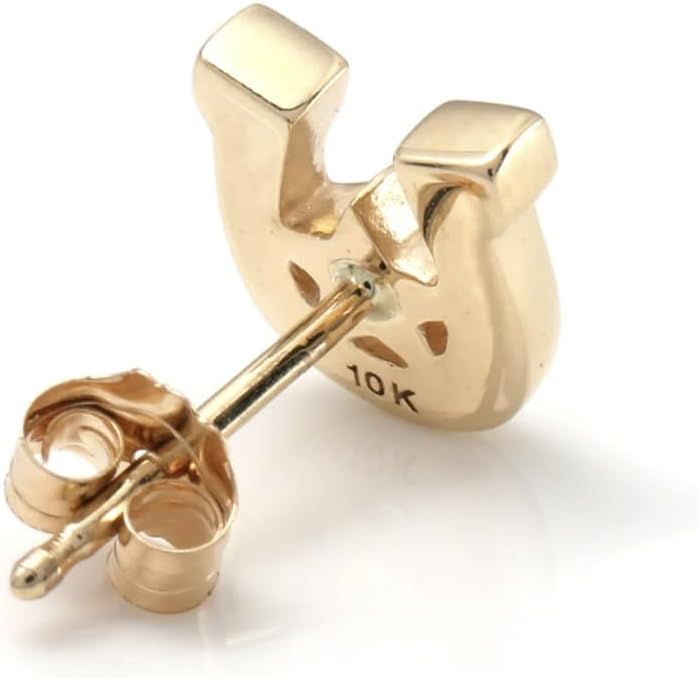 アヴァランチ AVALANCHE ピアス 片耳 メンズ 馬蹄 ホースシュー