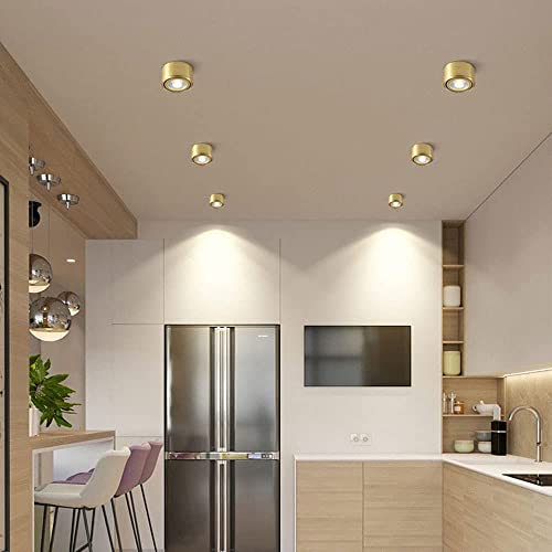 Plafond spotlight surface montée 45° ajustable 6000K downlight blanc - 4