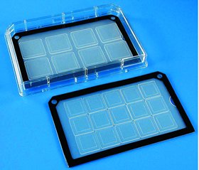 Multislip™ Cell Culture Coverglass Insert 15-12x12 mm, 150/PK
