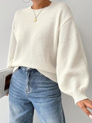 SKAYS Women's 2025 Long Sleeve Cozy Fall Sweater Fall Knit Crew Neck Pullover Lightweight Winter Casual Sweaters3