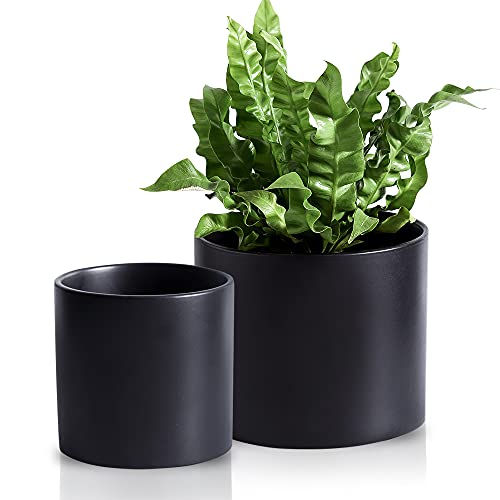 Nihow Maceta de cerámica de 5 y 7 Pulgadas para Plantas de Interior, para Hierbas, Serpientes, suculentas, orquídeas, Color Negro Mate (Juego de 2), Plantas no Incluidas