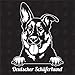 speedwerk-motorwear Deutscher Schäferhund Version 14 - Sticker, Aufkleber, Hundeaufkleber, Autoaufkleber, Hund, Auto, Hunderassen, Mischling, Haustier (AUCH MIT Wunschname MÖGLICH)