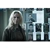 The Bridge: The Complete Series [DVD]