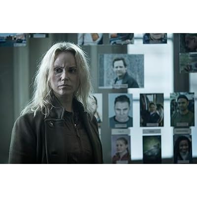 The Bridge: The Complete Series [DVD]