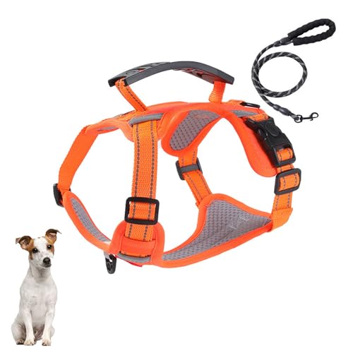 引っ張らない犬用ハーネス、5フィートの犬用リーシュ付き、反射犬用ベスト、簡単にコントロールできるハンドル付き、小型、中型、大型犬、猫用の調節可能なペットベスト、簡単に歩ける,オレンジ色,S