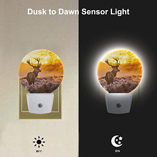 Image of EKOBLA Reindeer Night Light, Elk Deer Wildlife Nature Scene Night Lights Plug Into Wall with Auto On /Off for Home Decor and Women Gifts