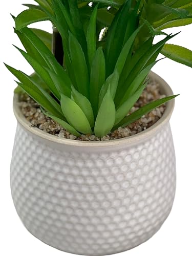 Image of Artificial Succulent Plant in White Ceramic Pot, Realistic Faux Greenery for Home Office Desk Tabletop Decor, Low Maintenance Long-Lasting Indoor Decorative Plant (B)