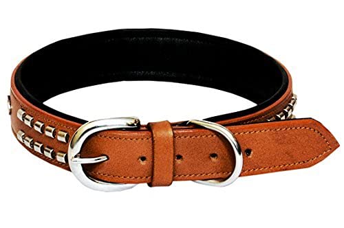 See full amazon price history chart for Pet Guard Dog Leather Collar with Designer Studs,Tan Color-Large82dt Pet Guard Dog Leather Collar with Designer Studs,Tan Color-Large82dt (B09V3558KN) Amazon Price History, Amazon Price Tracker