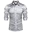 Silver Gray Silver Gray