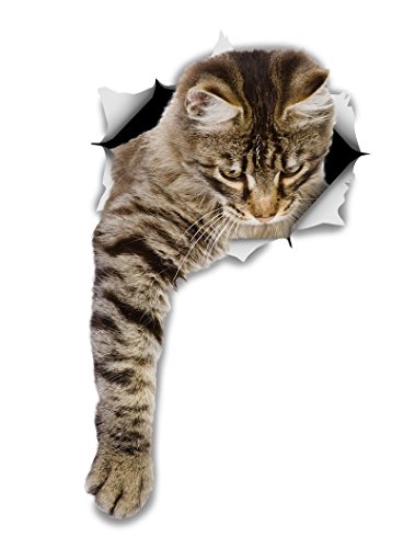 Winston & Bear 3D Cat Stickers - 2 Pack - Tabby Cat Wall Decals - Cat Lover Gifts - Cat Wall Stickers for Bedroom - Fridge - Toilet - Car - Retail Packaged (Reaching Tabby Cat)