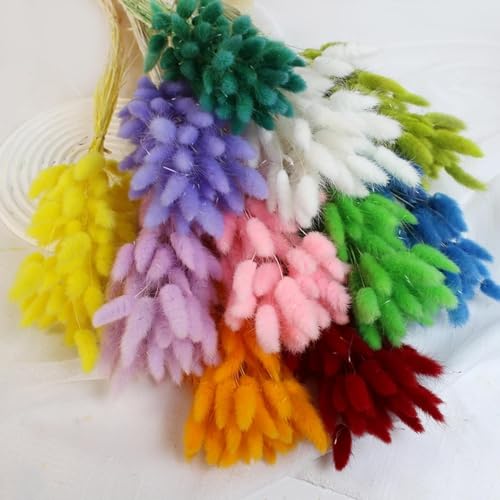 Decoración con hierba pampas seca 20 piezas 45 cm miniatura 2