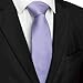 JEMYGINS Lavender Tie Mens Necktie for Wedding and Business(8cm)