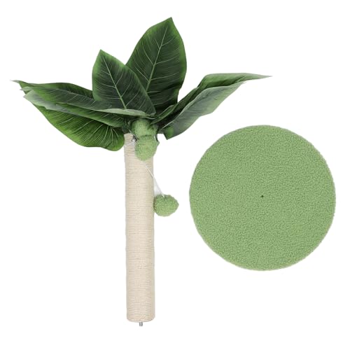 Lp܂Ƃ|Xg TCUƋی ň肵\ Lbgc[ ܂Ƃ|Xg 3݂̒艺{[t ƒp p ()