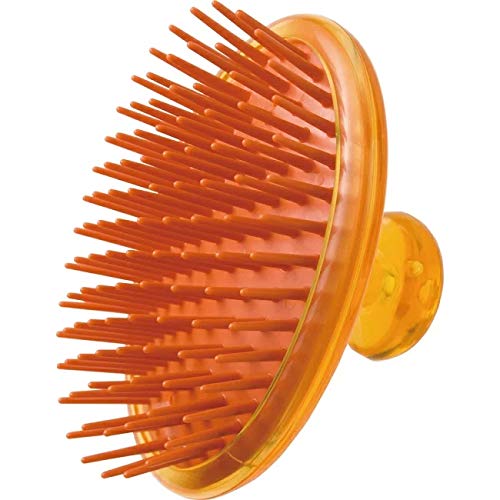 y{ MtgzxX nj[Vv[uV wAuV e T et Ɩp  C oXObY   NV   ₳ }bT[W ݂͂ C[[