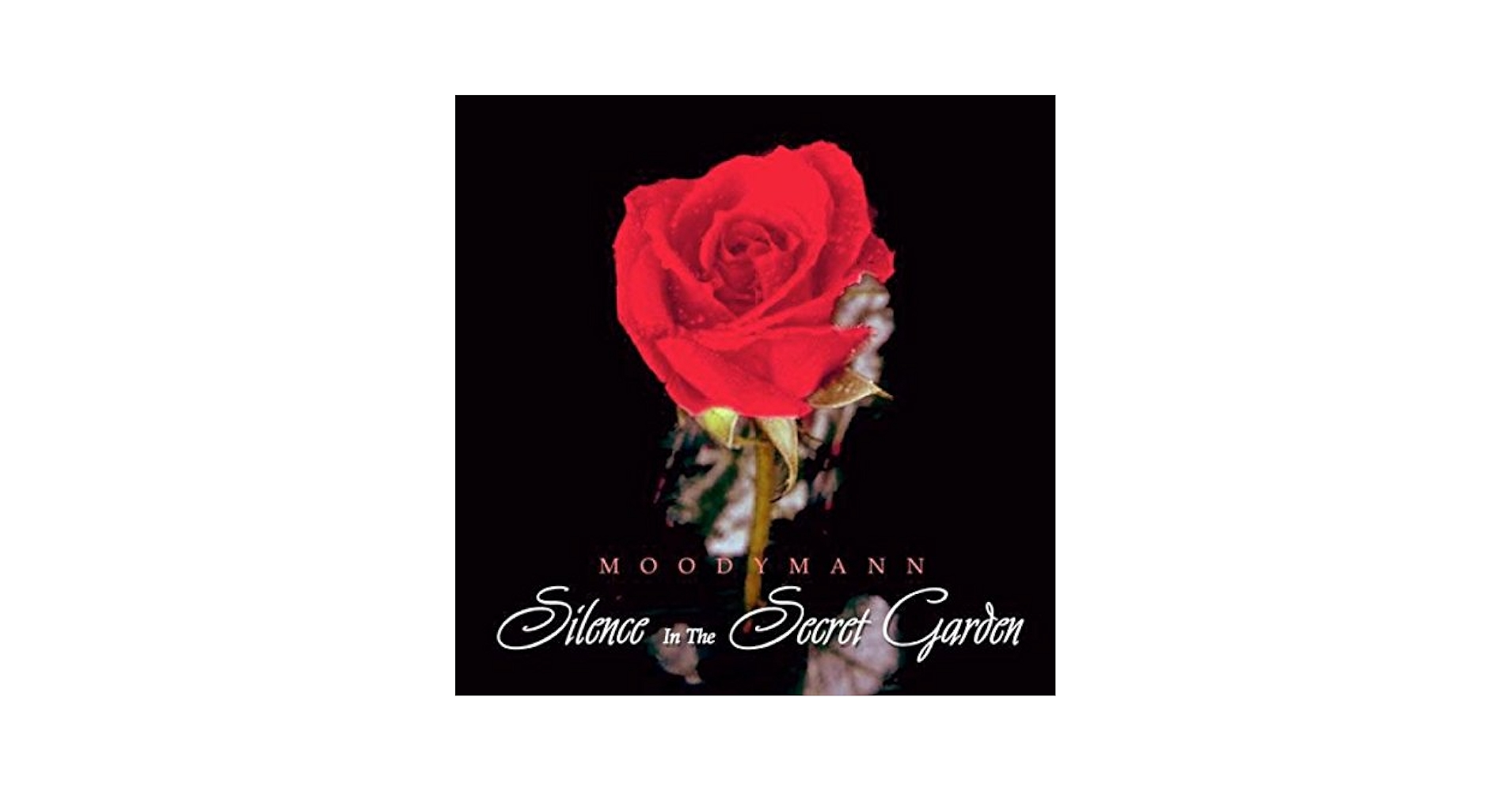 Amazon.com: Silence In The Secret Garden: CDs & Vinyl