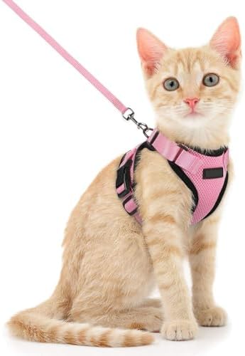 Adjustable Cat Harness with 150cm Leash - Safety for Small, Mediu...
