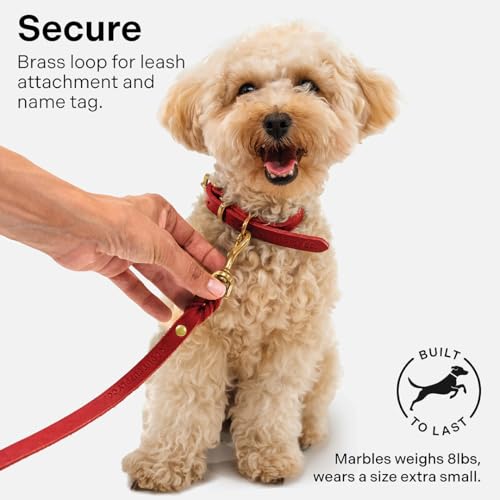 Image of Classic Genuine Leather Dog Collar | Dog Collars for Medium Dogs, Small Dogs, Large Dogs & Extra Large Dog | Wide Dog Collar | Heavy Duty Collar | Red (M: 0.8 inch Wide for 13.5 inch-16 inch Neck)