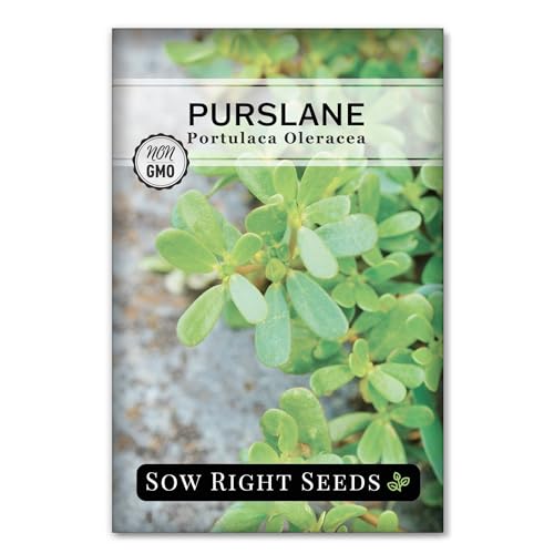 Sow Right Seeds - Purslane Seeds for Planting - Non-GMO Heirloom Packet with Instructions to Grow an Outdoor or Indoor Vegetable Garden - Rare Edible & Culinary Variety - Medicinal Benefits & Uses (1)