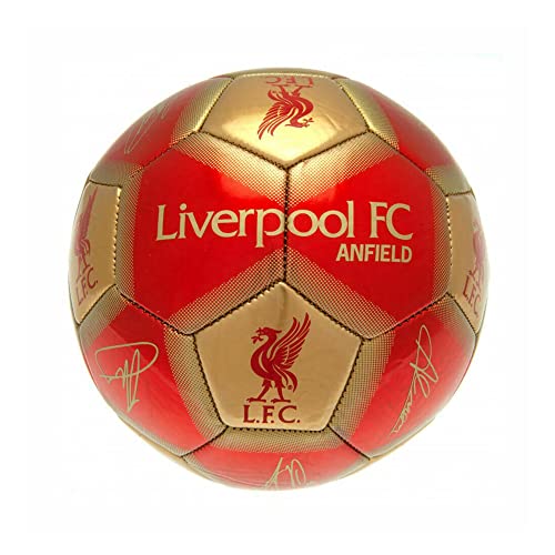Liverpool FC Signature Skill Ball (One Size) (Red/Gold)