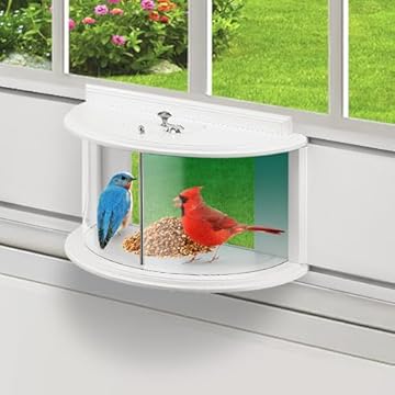 bird feeder inside window